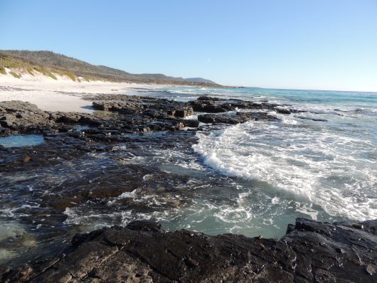 View Back to campground at friendly Beach